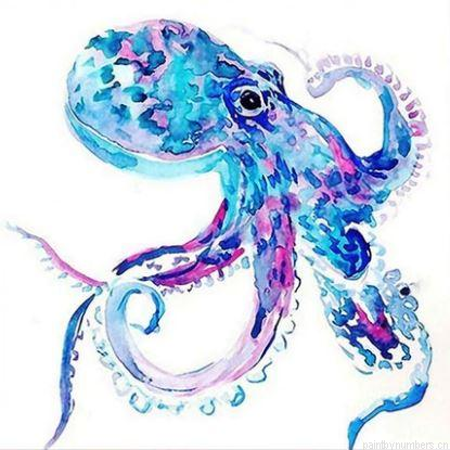 Colorful Octopus Animals Painting By Numbers.png