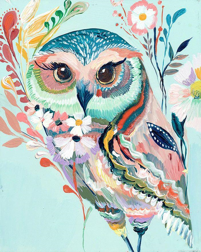 Colorful Owl Birds Painting By Numbers.png