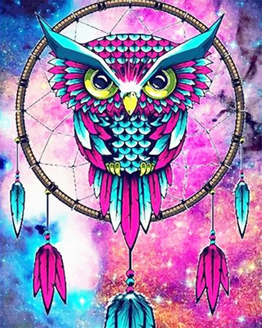 Colorful Owl Dream Catcher Painting By Numbers.png
