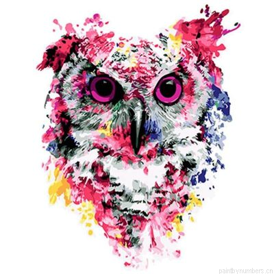 Colorful Owl Painting By Numberss.png