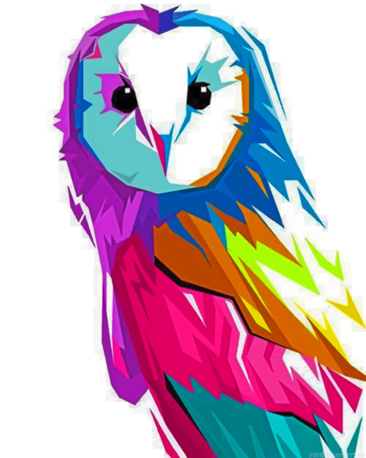 Colorful Owl Pop Art Painting By Numbers.png