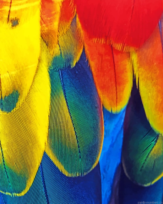 Colorful Parrot Feather Painting By Numbers.png