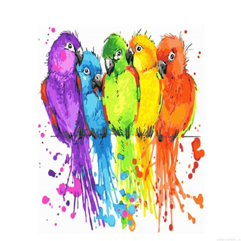 Colorful Parrots Birds Painting By Numbers.png