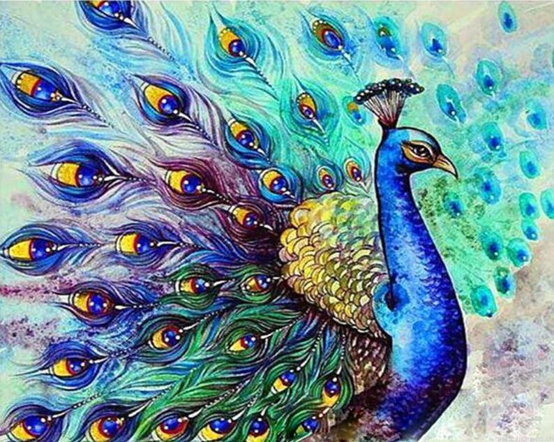 Colorful Peacock Birds Painting By Numbers.png