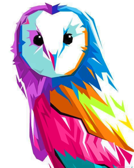 Colorful Pop Art Owl Painting By Numberss.png