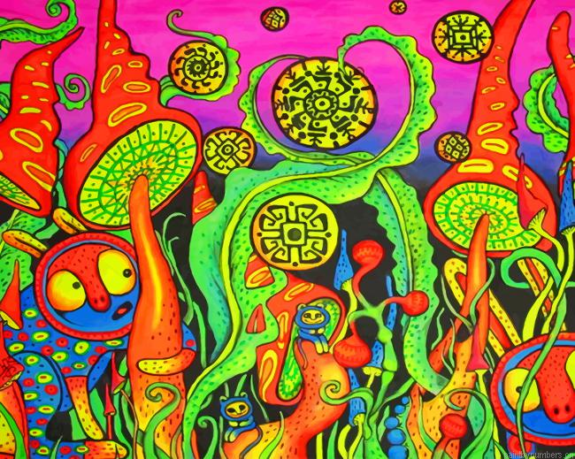 Colorful Psychedelic Art Painting By Numberss.png