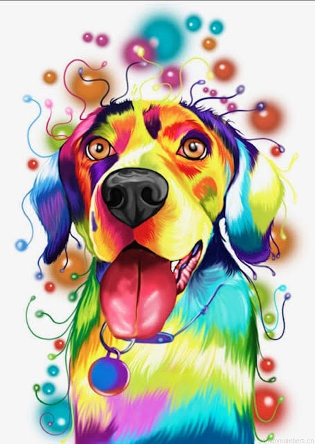 Colorful Retriever Dog Painting By Numberss.png