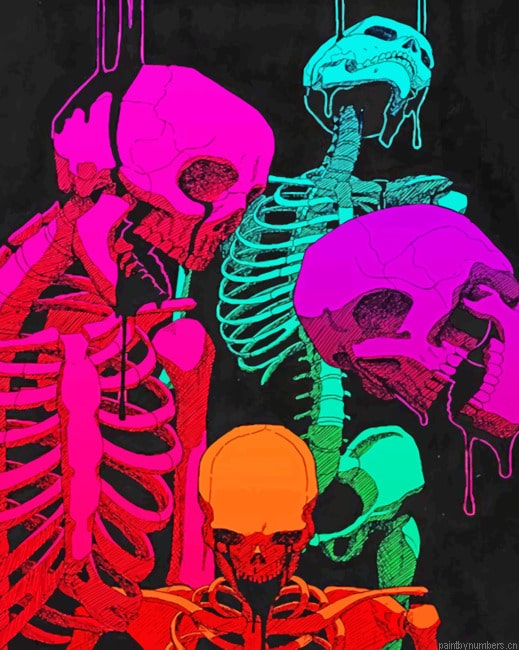 Colorful Skeletons Painting By Numberss.png