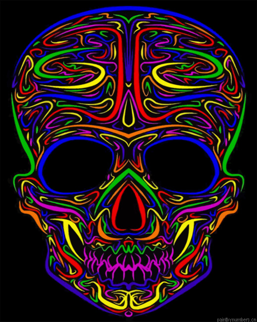 Colorful Skull Painting By Numbers.png