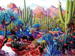Colorful Succulents Desert Painting By Numbers.png