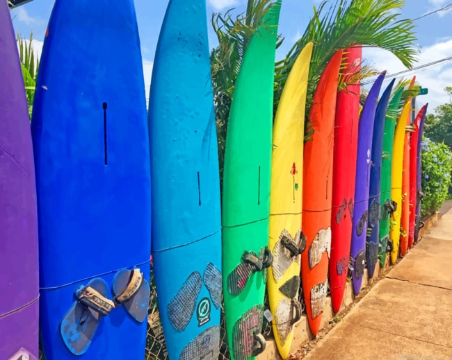 Colorful Surfing Boards Painting By Numbers.png