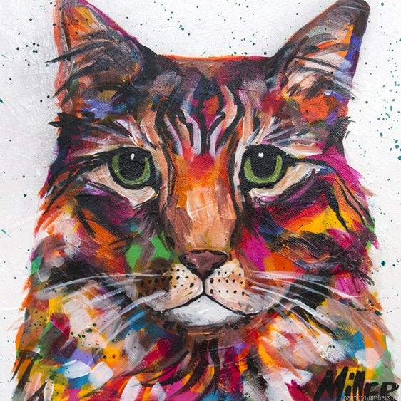 Colorful Tabby Cat Painting By Numbers.png