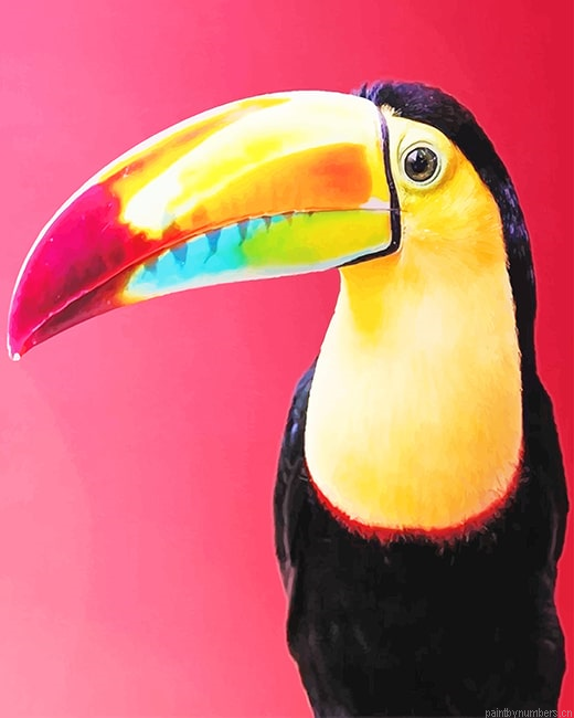 Colorful Toucan Birds Painting By Numbers.png