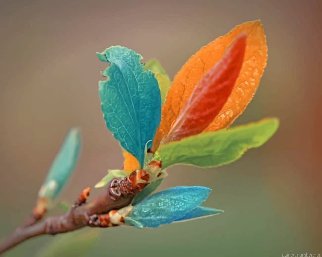Colorful Tree Leaves Autumn Painting By Numberss.png