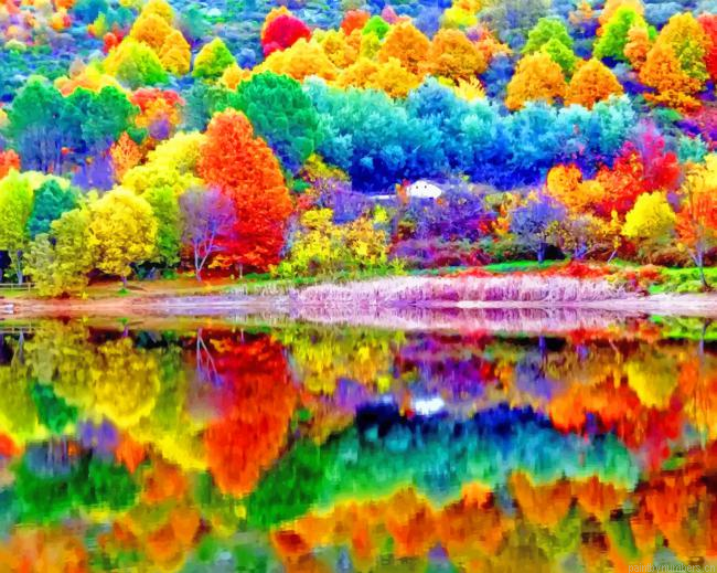 Colorful Trees Autumn Landscapes Painting By Numberss.png