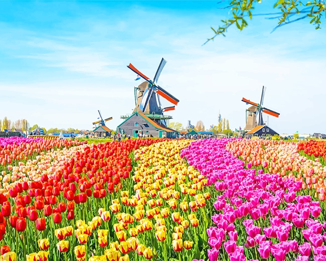Colorful Tulip Field Nature Painting By Numbers.png