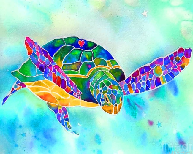 Colorful Turtle Painting By Numberss.png
