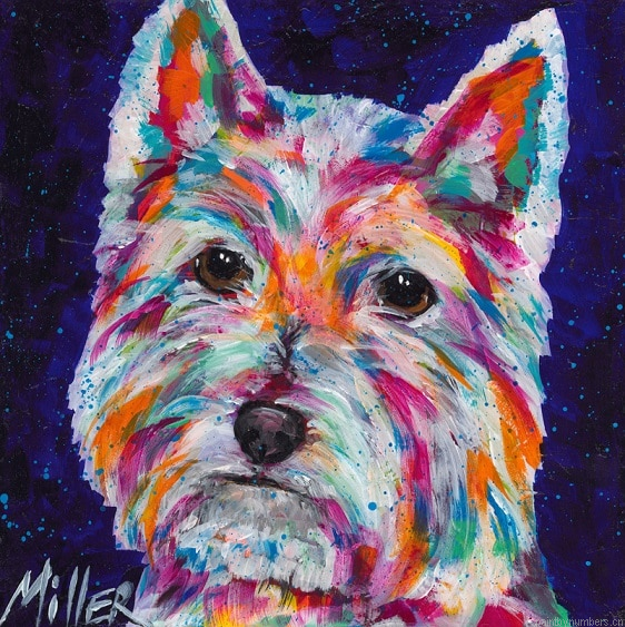 Colorful West Highland Terrier Painting By Numberss.png