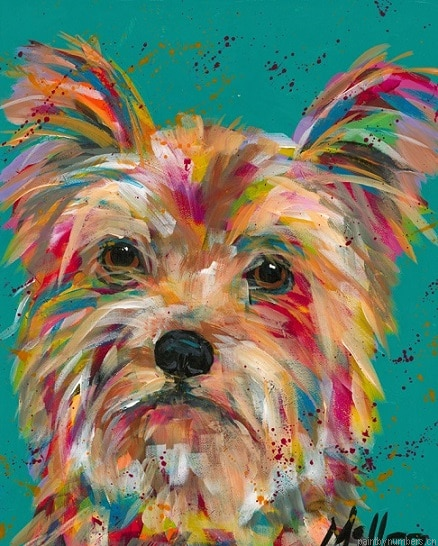 Colorful Yorkie Dog Painting By Numberss.png