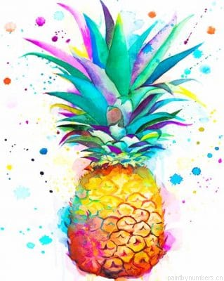 Colors Splash Pineapple Fruits Painting By Numbers.png