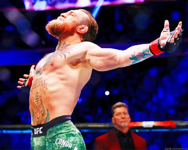 Conor Mcgregor The Champion Painting By Numberss.png