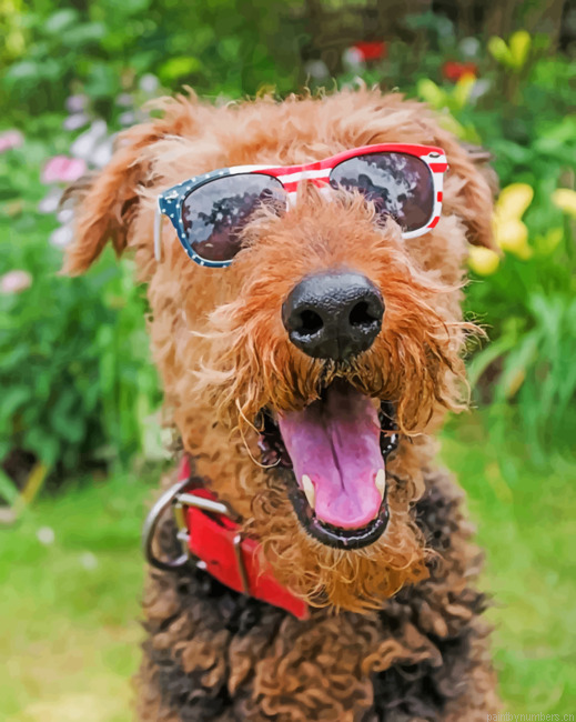 Cool Airedale Terrier Painting By Numbers.png