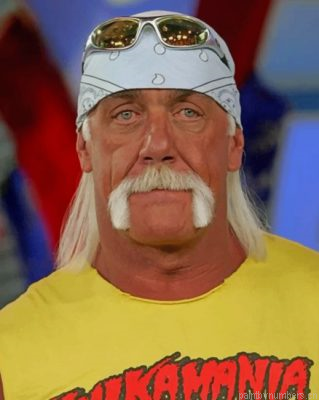 Cool Hulk Hogan Painting By Numbers.png