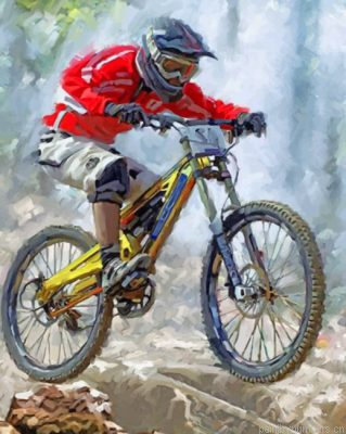 Cool Mountain Biker Painting By Numbers.png