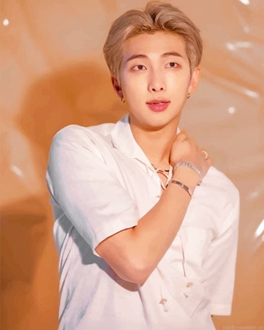 Cool Rm Bts Rappers Painting By Numberss.png
