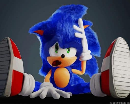 Cool Sonic The Hedgehog Painting By Numberss.png