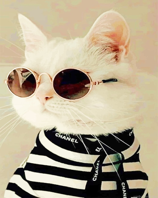 Cool Stylish Cat Animals Painting By Numberss.png