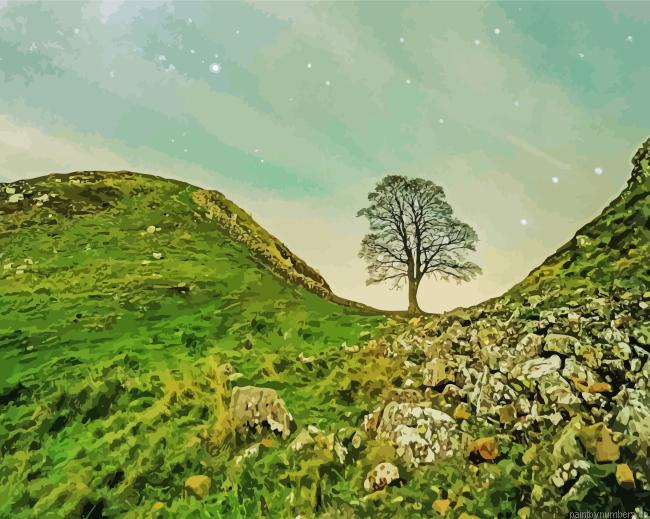 Cool Sycamore Gap Painting By Numberss.png
