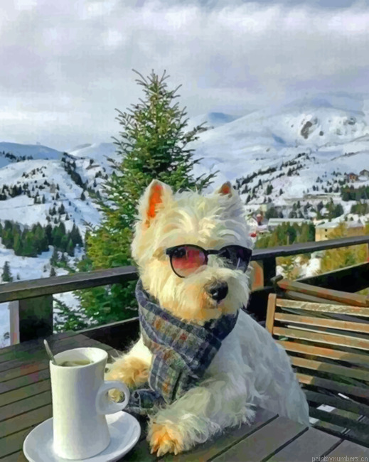 Cool Westie Painting By Numbers.png