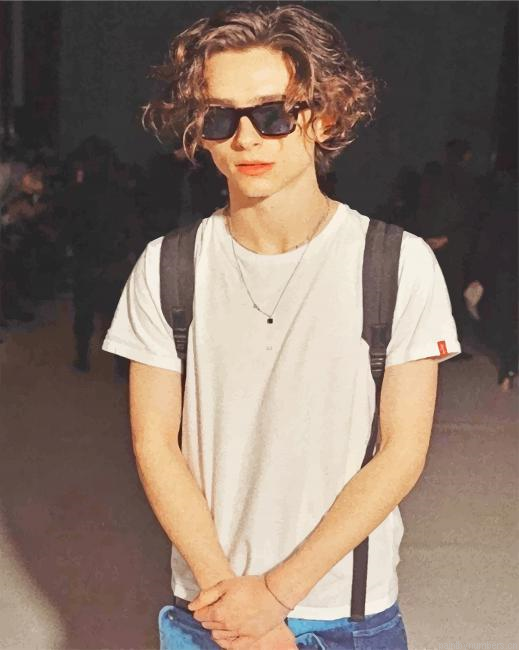 Cool Timothee Chalamet Actors Painting By Numberss.png
