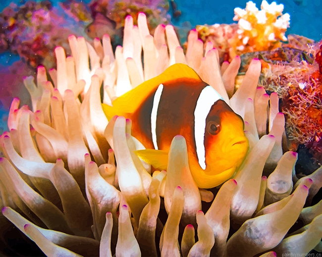 Coral Reef Fish Painting By Numberss.png