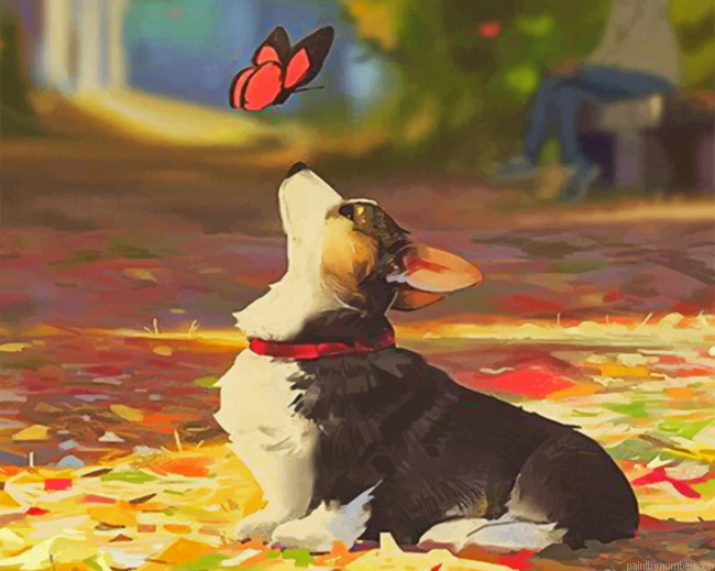 Corgi And Butterfly Painting By Numberss.png
