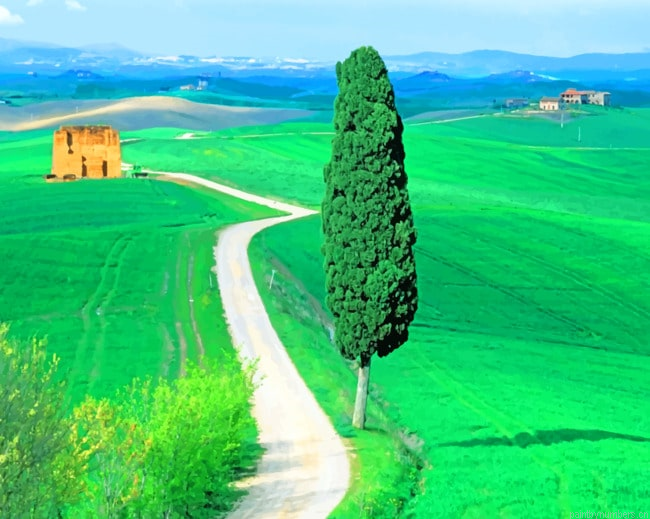 Country Road Tuscany Italy Nature Painting By Numberss.png
