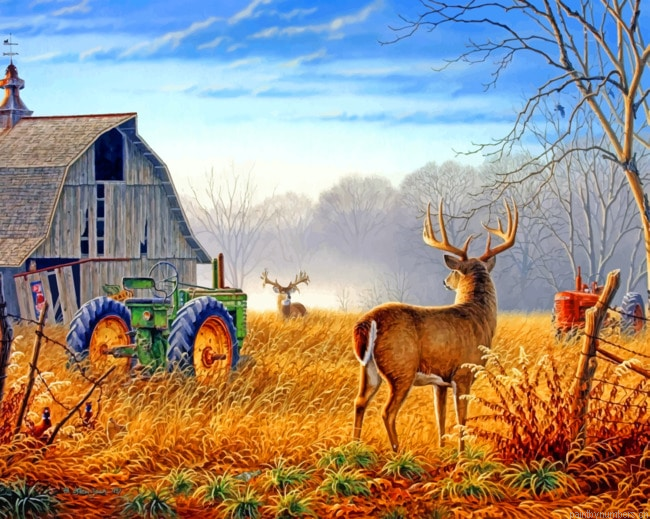 Country Scenes Animals Painting By Numbers.png
