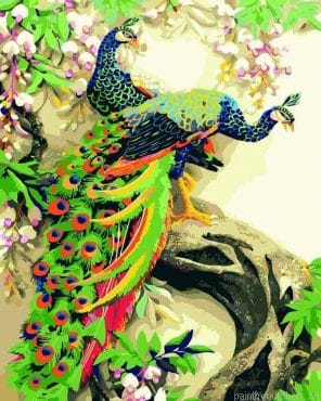 Couple Of Peacock Birds Painting By Numbers.png