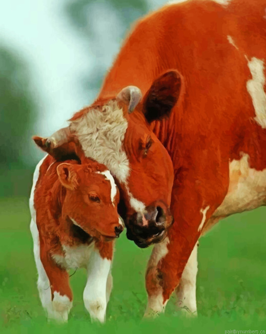 Cow And Calf Animals Painting By Numberss.png