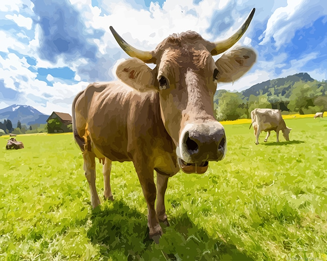 Cow Animal Painting By Numberss.png