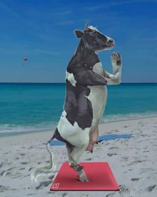 Cow Doing Yoga Painting By Numbers.png