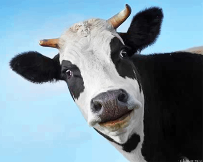 Cow Face Painting By Numbers.png