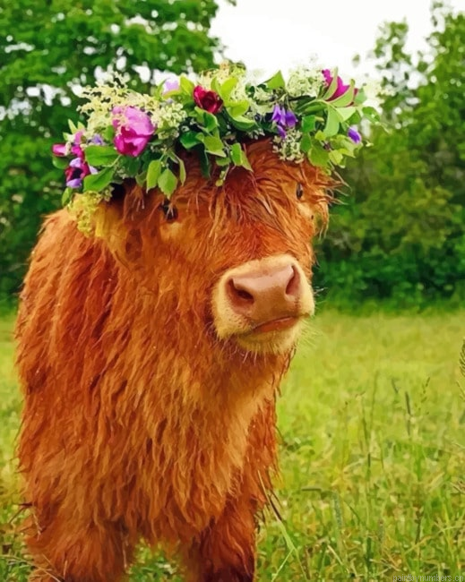 Cow Wearing Flower Crown Painting By Numberss.png