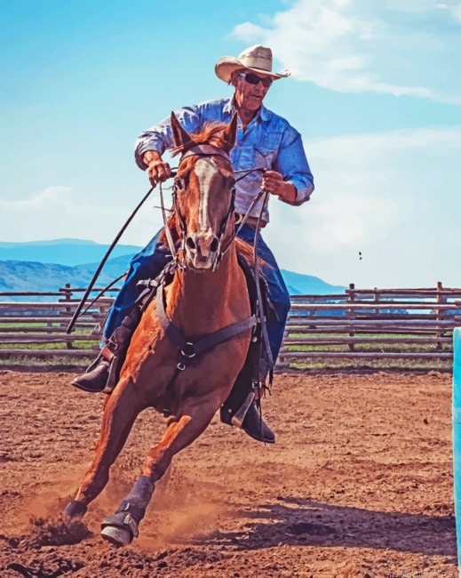 Cowboy And His Horse Painting By Numbers.png