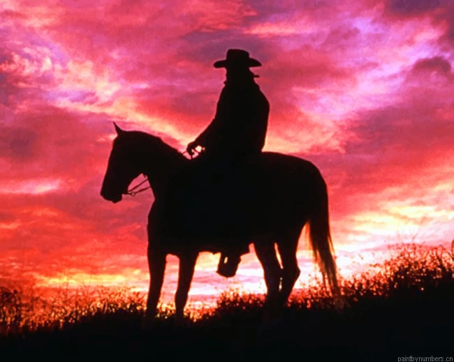 Cowboy On His Horse Silhouette Painting By Numbers.png