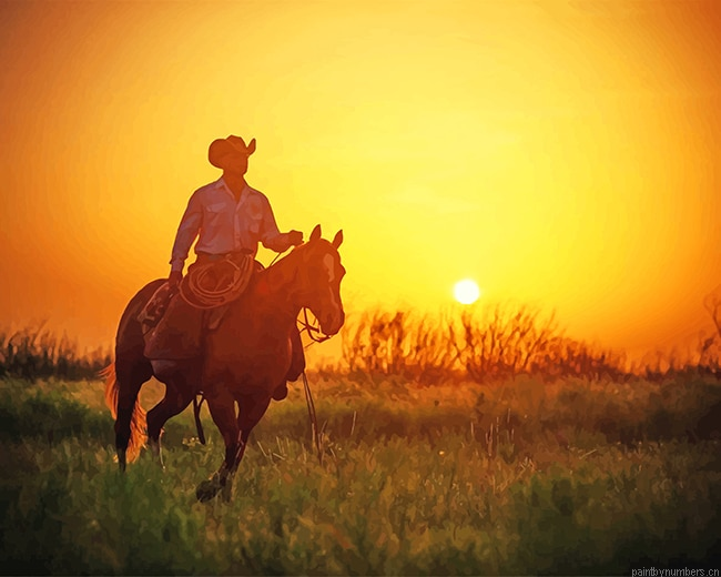 Cowboy Sunset Silhouette Painting By Numberss.png