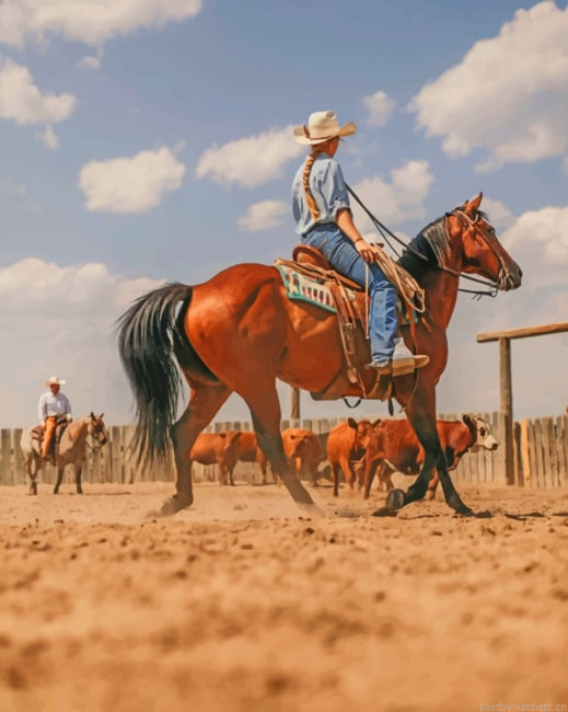 Cowgirl On Stallion Horse Painting By Numberss.png