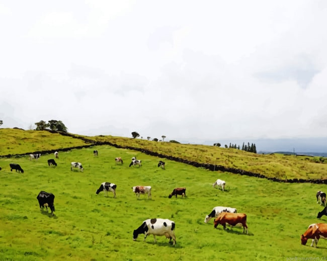 Cows In A Field Animals Painting By Numberss.png