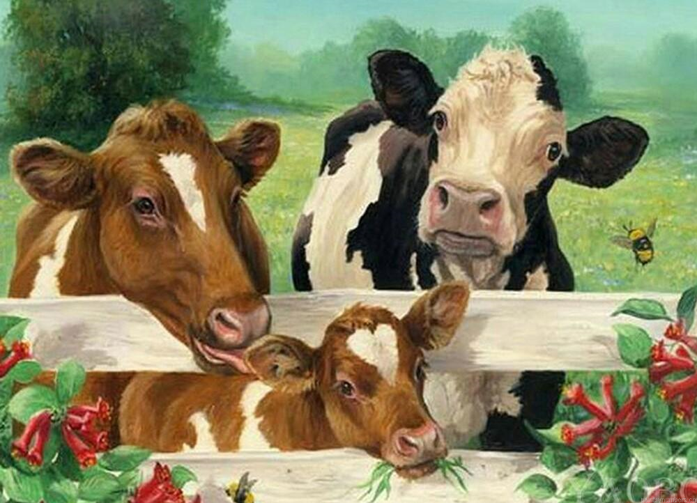 Cows In Cowshed Painting By Numberss.png
